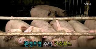 가축분뇨.jpg