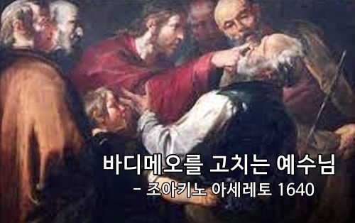 [크기변환]바디메오b 다운로드.jpg