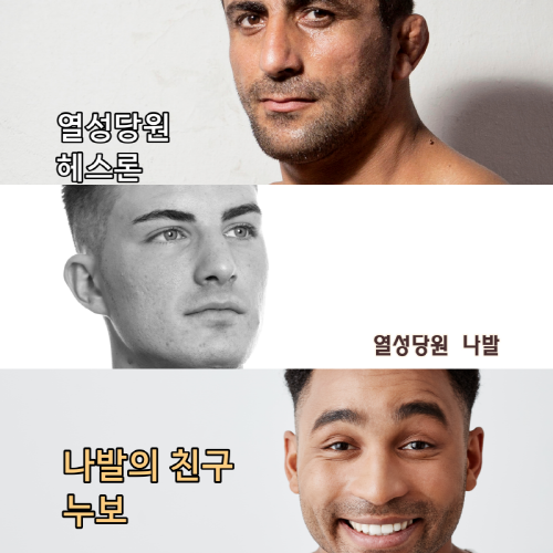 [크기변환]헤스론 나발 누보 collage.png