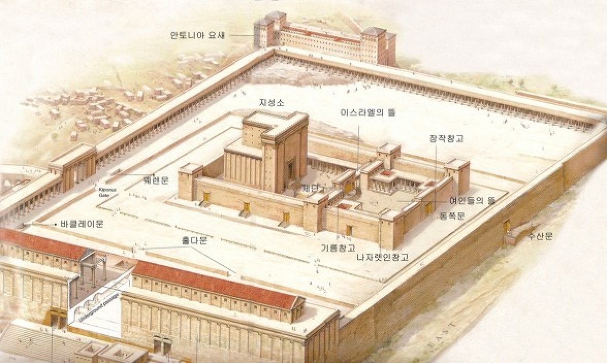 바라바 156화 ★ 하루 앞을 모른다