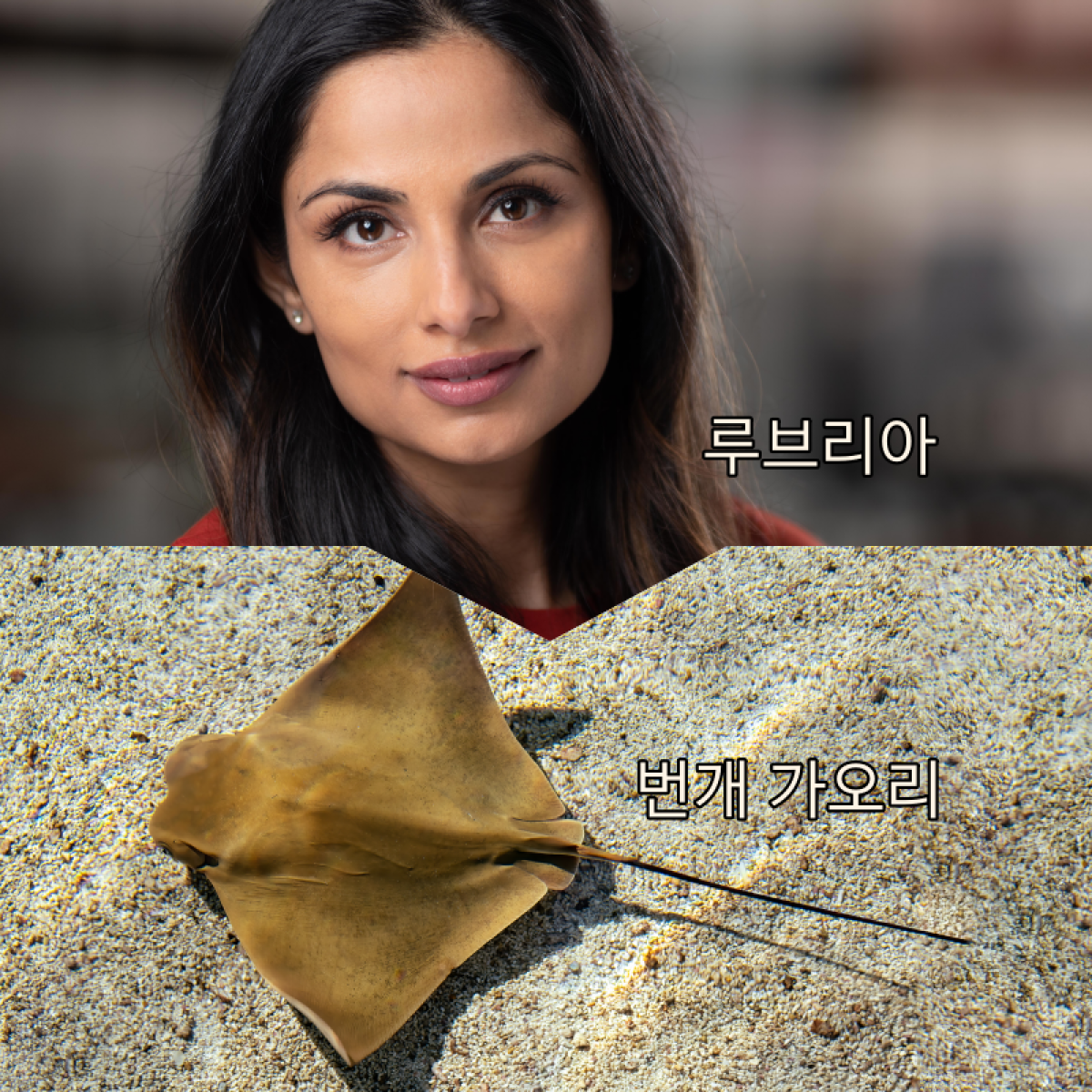 바라바 217화 ★ 깨어난 루브리아