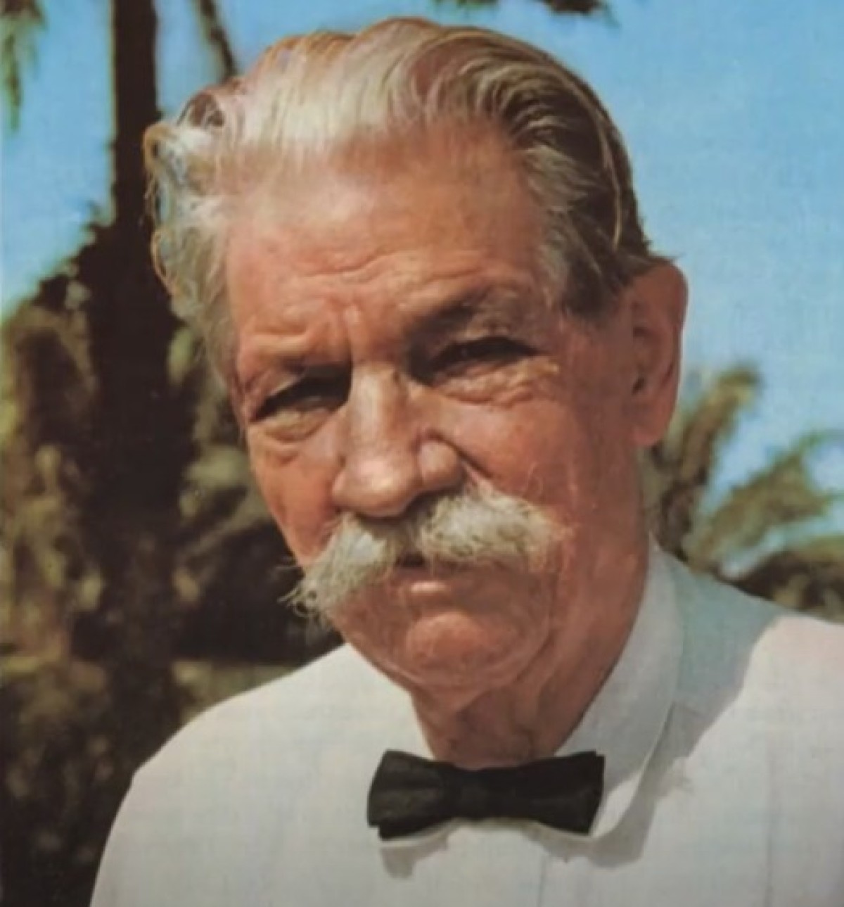 채식인류 - 슈바이처 가상 인터뷰