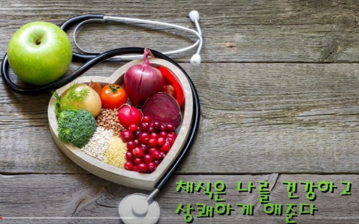 어느 한국인 - 나는 왜 채식을 하는가?