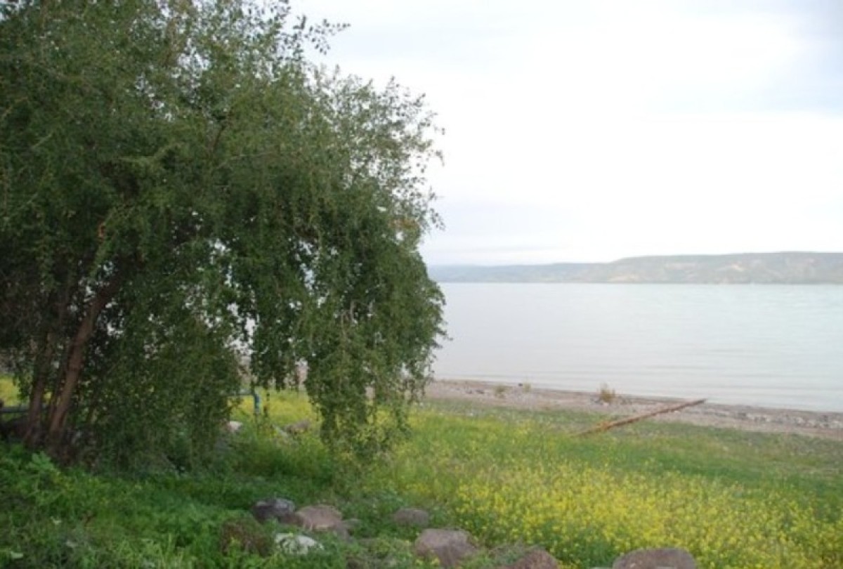 바라바 257화 ★ ‘야훼’는 숨 쉬는 소리