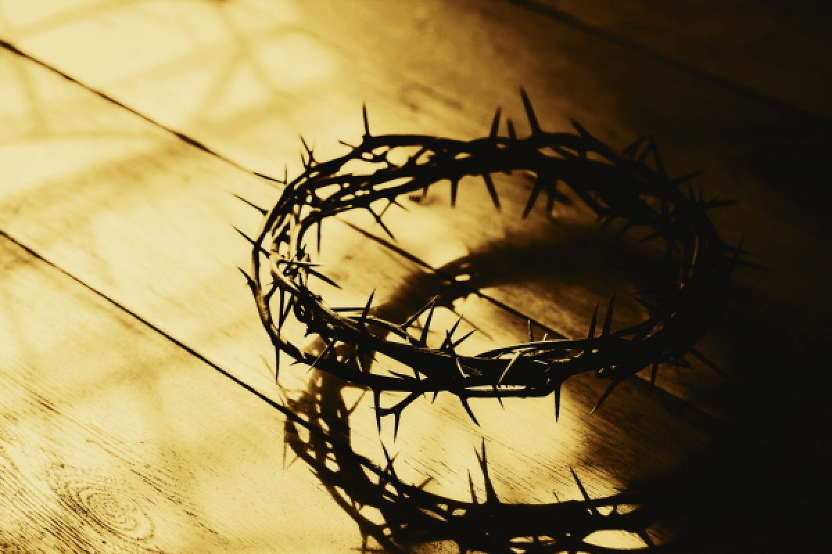 바라바 271화 ★ 보시오 이 사람이오