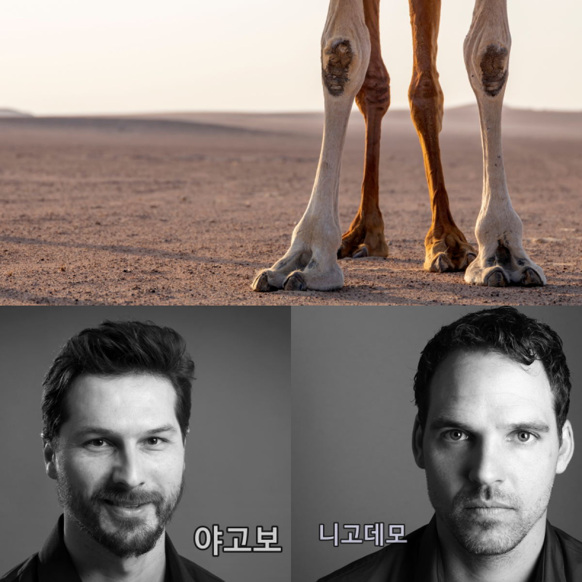 바라바 335화 ★ 야고보의 에비온파