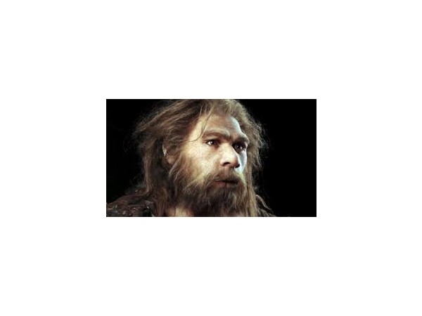 새사도신경 100 화  ★  내주  특종 기사