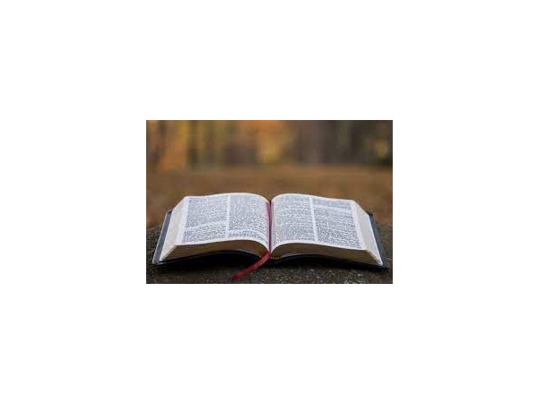 어느 단상: 성서는 도서관