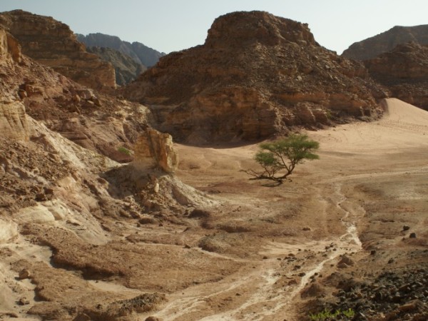 어느 단상 : 무관심