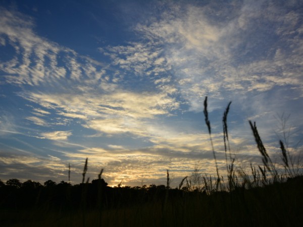 夢中遊 - 鶴鳴禪師 (몽중유 - 학명선사 1867~1929)