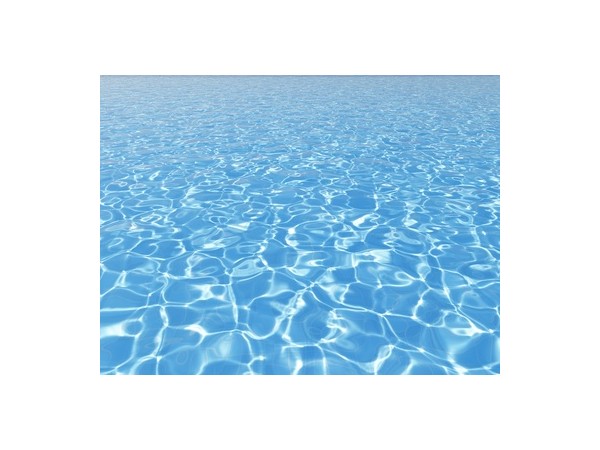 어느 단상 : 도를 닦는다는 것