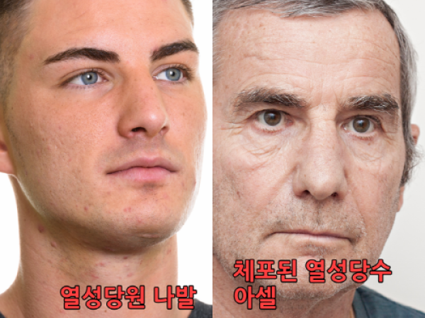 바라바 91화 ★ 체포된 아셀 (열성당수) 면회