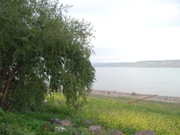 바라바 257화 ★ ‘야훼’는 숨 쉬는 소리