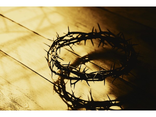 바라바 271화 ★ 보시오 이 사람이오