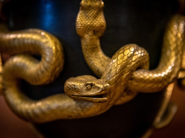 바라바 324화 ★ 뱀을 집어 올리며 무슨 독을 마셔도