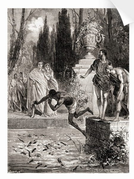 곰치연못 Pollio_slave_eelPond-451x600.jpg